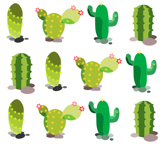 Manguitos técnicos #Cactus